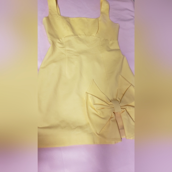 The Elliat Rays Mini Dress - Picture 2 of 7